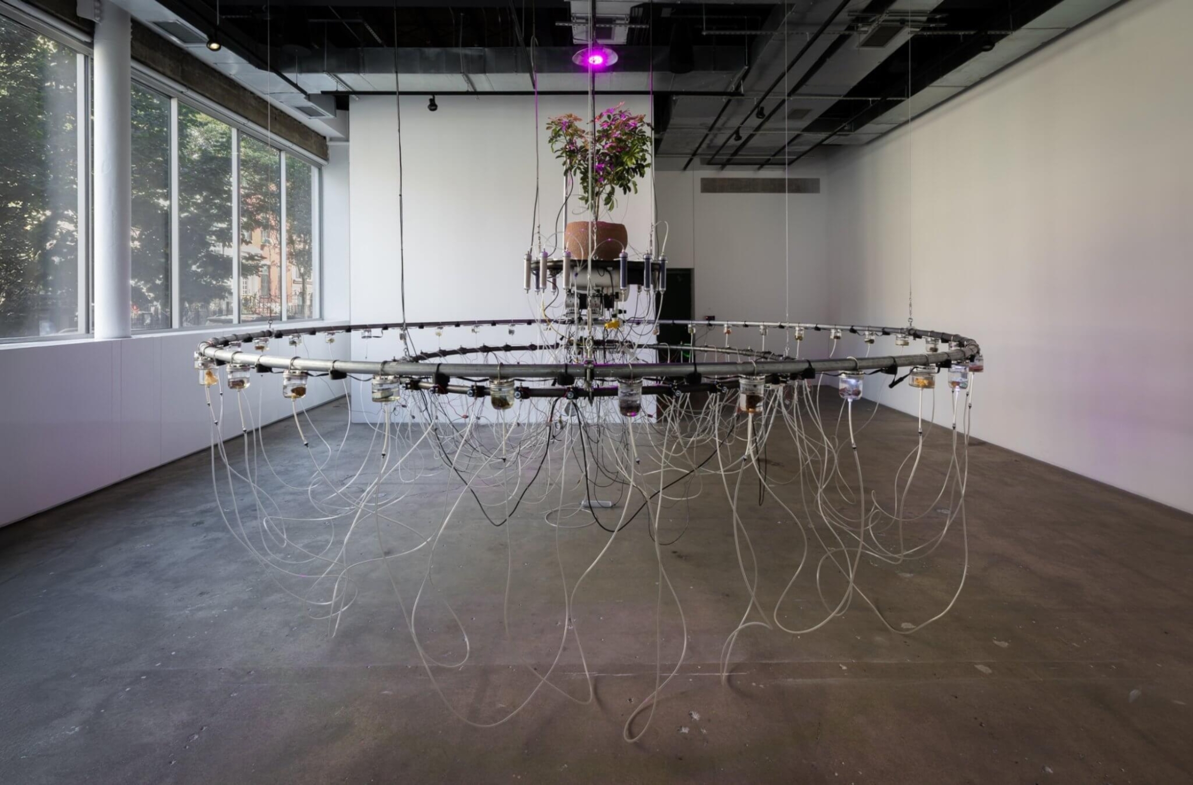 Hyperpnea Green — Bagus Pandega, 2024. ภาพจาก Swiss Institute